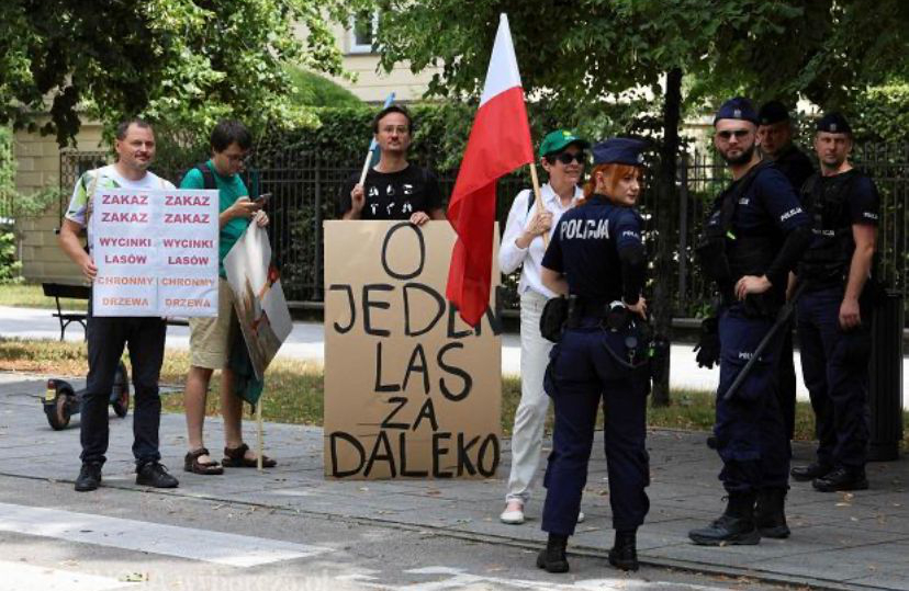 Kontrprotest w sprawie lasów